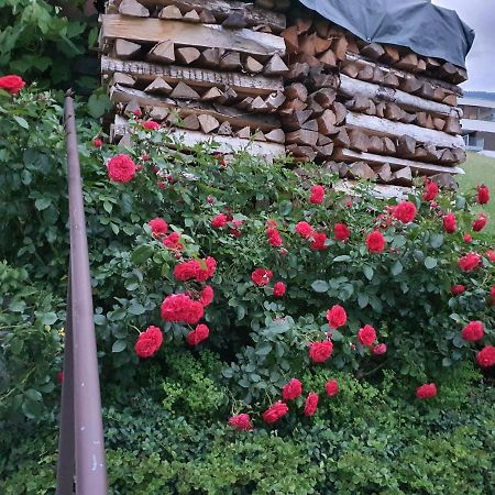 Dreamlandranch Vorarlberg Lejlighed Schlins Eksteriør billede